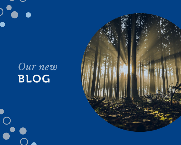 Our new blog.png